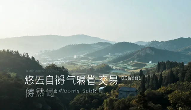 ai视频提示词助手：手动输入与工具辅助的取舍