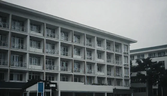 养狗指南提示词使用常见误区澄清