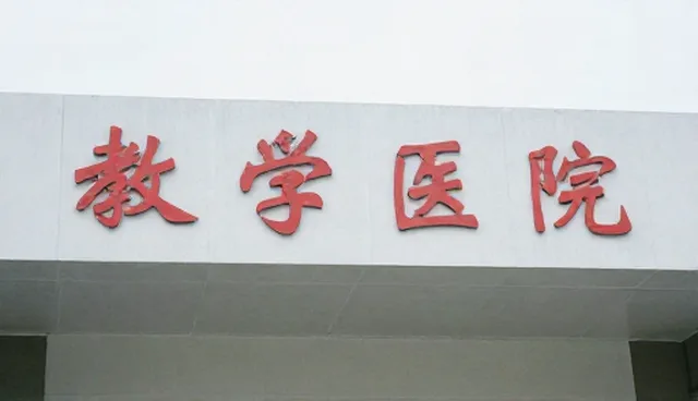 ai提示词是干什么的：提示词应用的适用条件与选择依据
