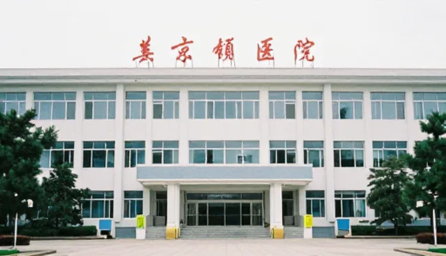 短视频提示词:开发者如何优化分类目录的预训练数据