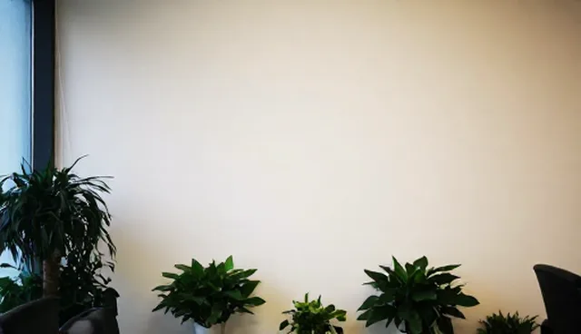 提示词合集在热门排行中的实际应用问题