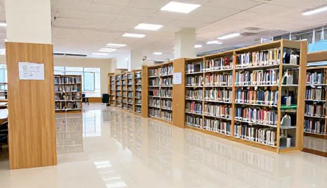 提示词skill应用检查要点及优化建议