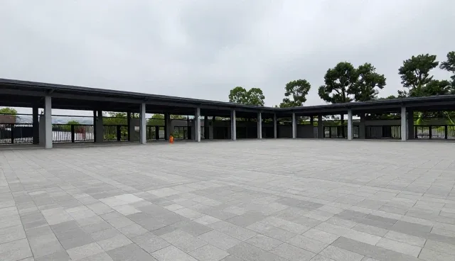 deepseek写头条提示词:选型与使用建议