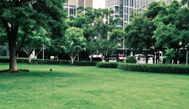 提示词的意思是什么?如何正确使用场景?